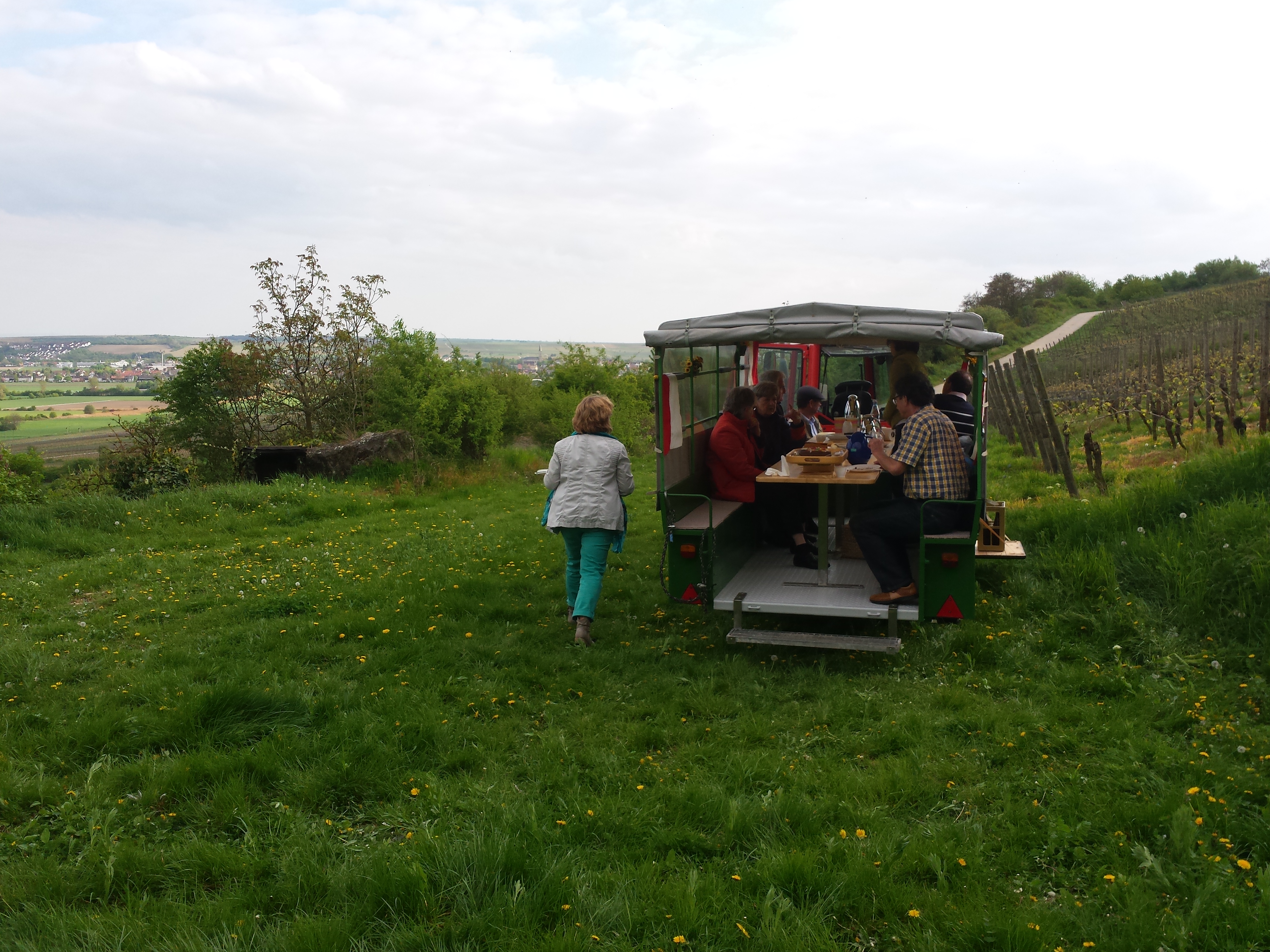 Tour in die Weinberge